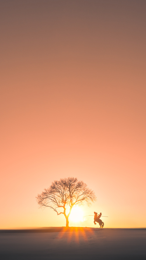 西甲国家德比与骑士横扫山西，体育焦点战的多维狂欢与自媒体视角下的激情解读