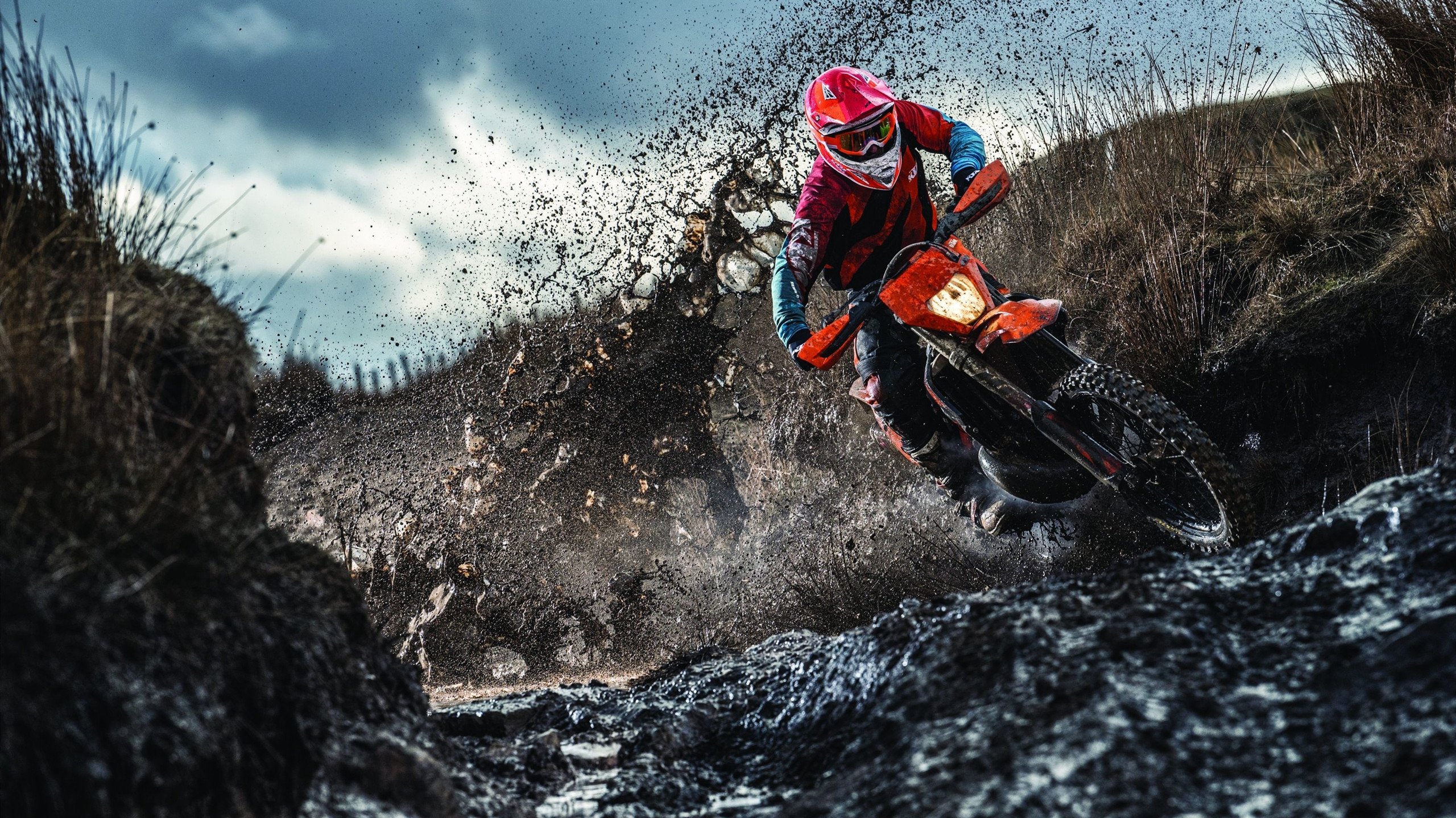 雪夜奇迹,当维京战吼淹没万达大都会,佩德里如何用一记惊雷改写北欧足球史?